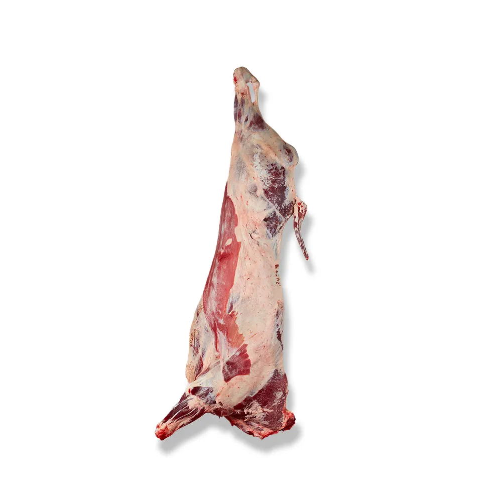 Halal Beef Carcass