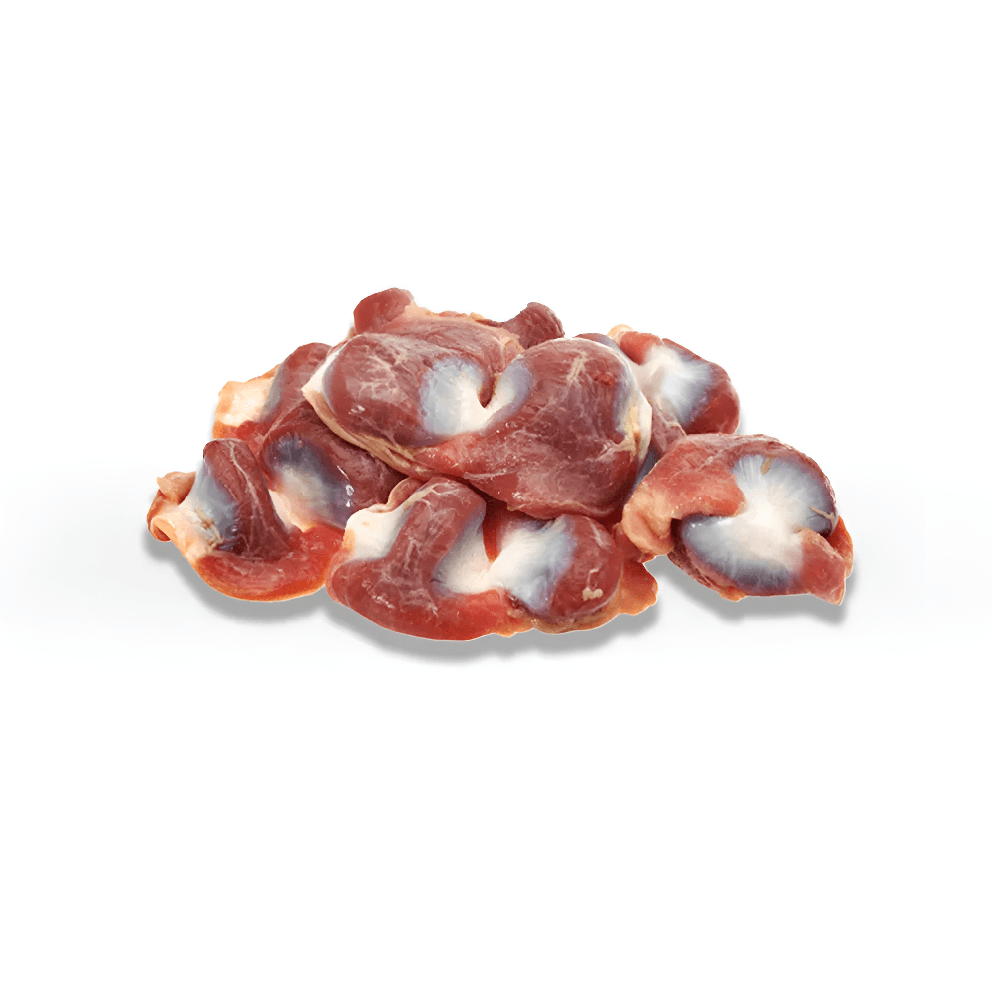 Halal Chicken Gizzard – Grade A