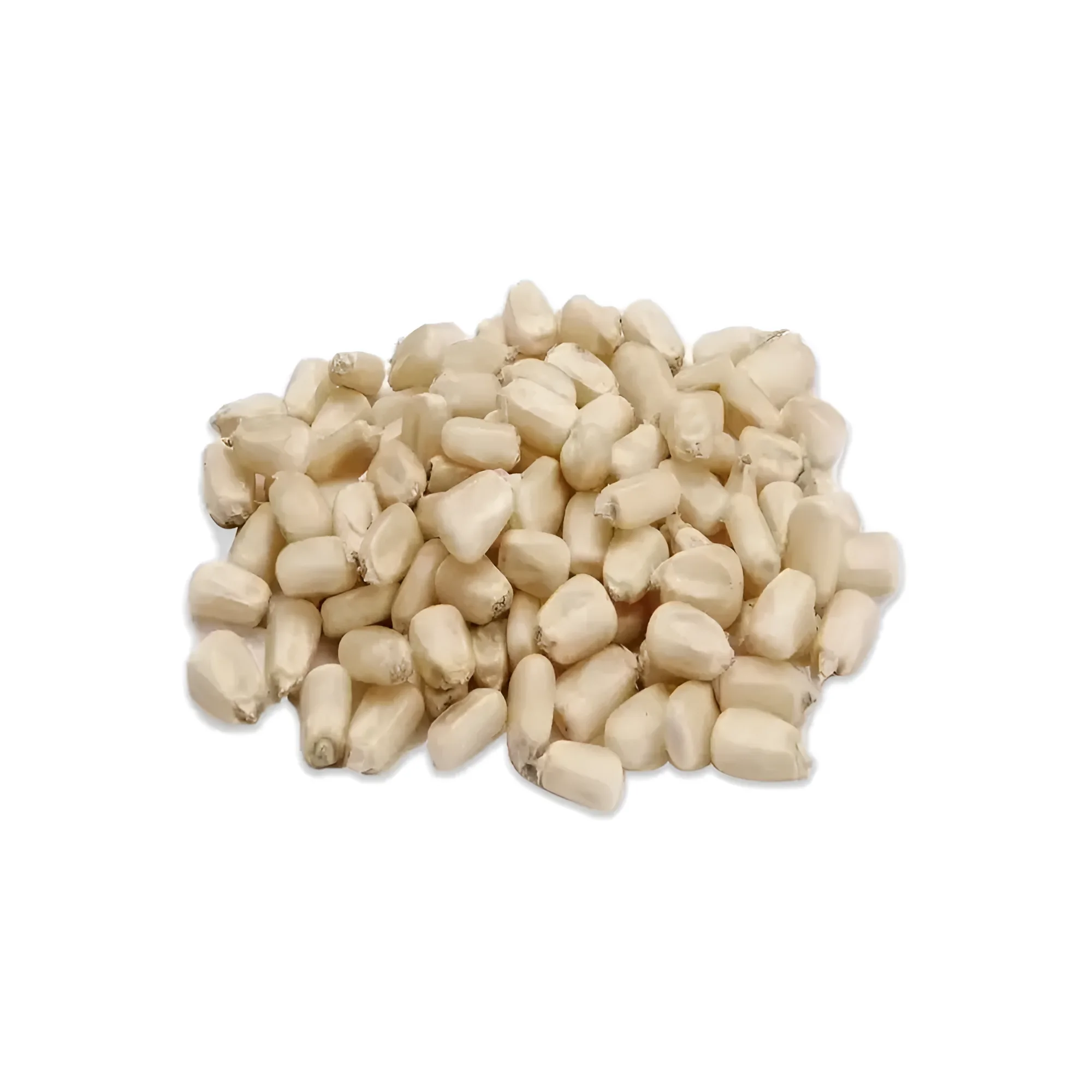 GMO White Corn