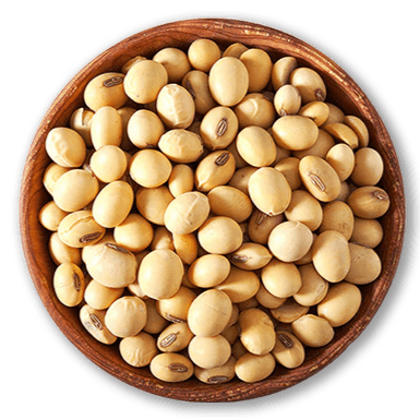 Category image for Soy Beans