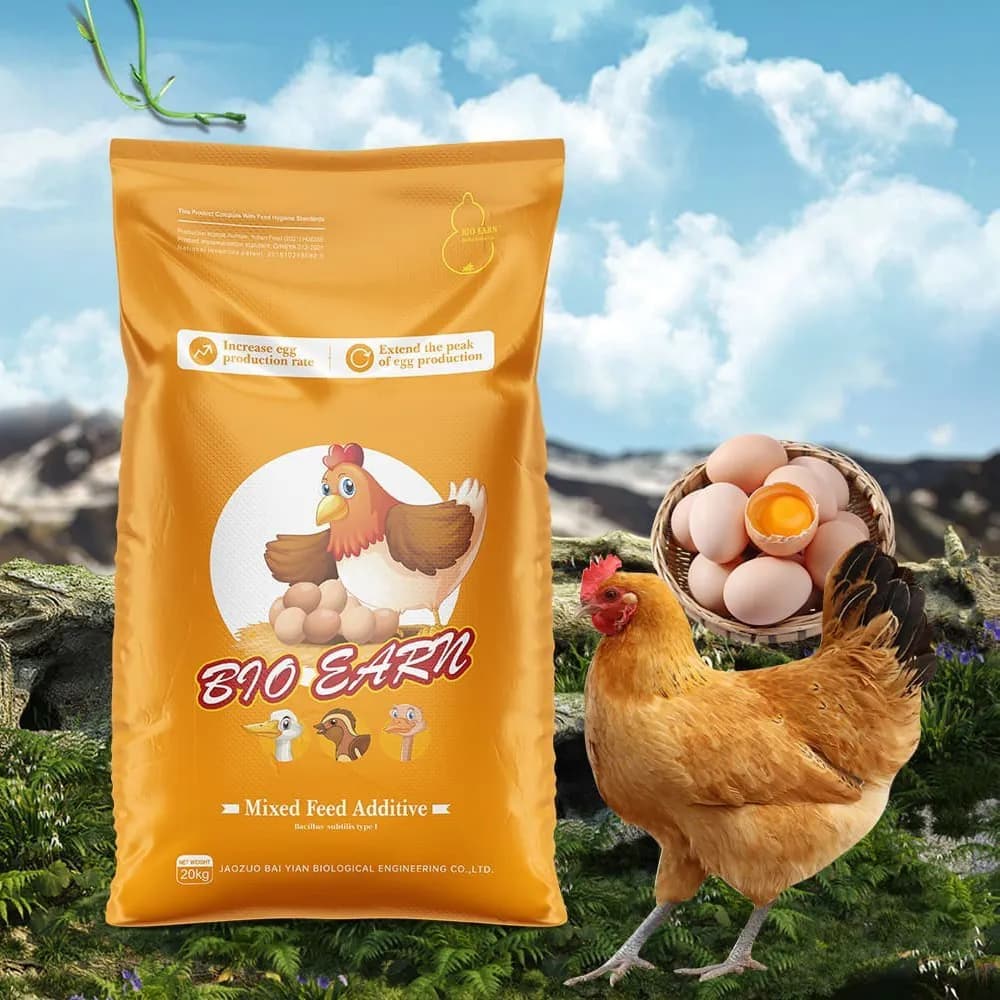 Ração Especial para Aves Poedeiras - Exportação Atacadista a Granel | France AJ Alimentaire And Food LTDA