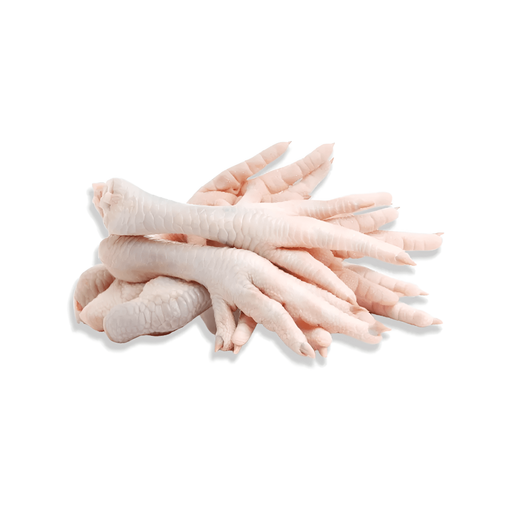 Grade A Frozen Chicken Feet (35g+) - Bulk Wholesale Export | France AJ Alimentaire And Food LTDA