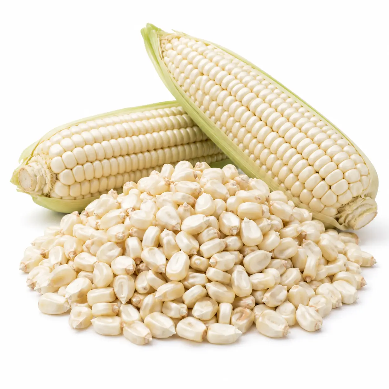 Non-GMO White Corn supplier - bulk wholesale export bags | France AJ Alimentaire And Food LTDA