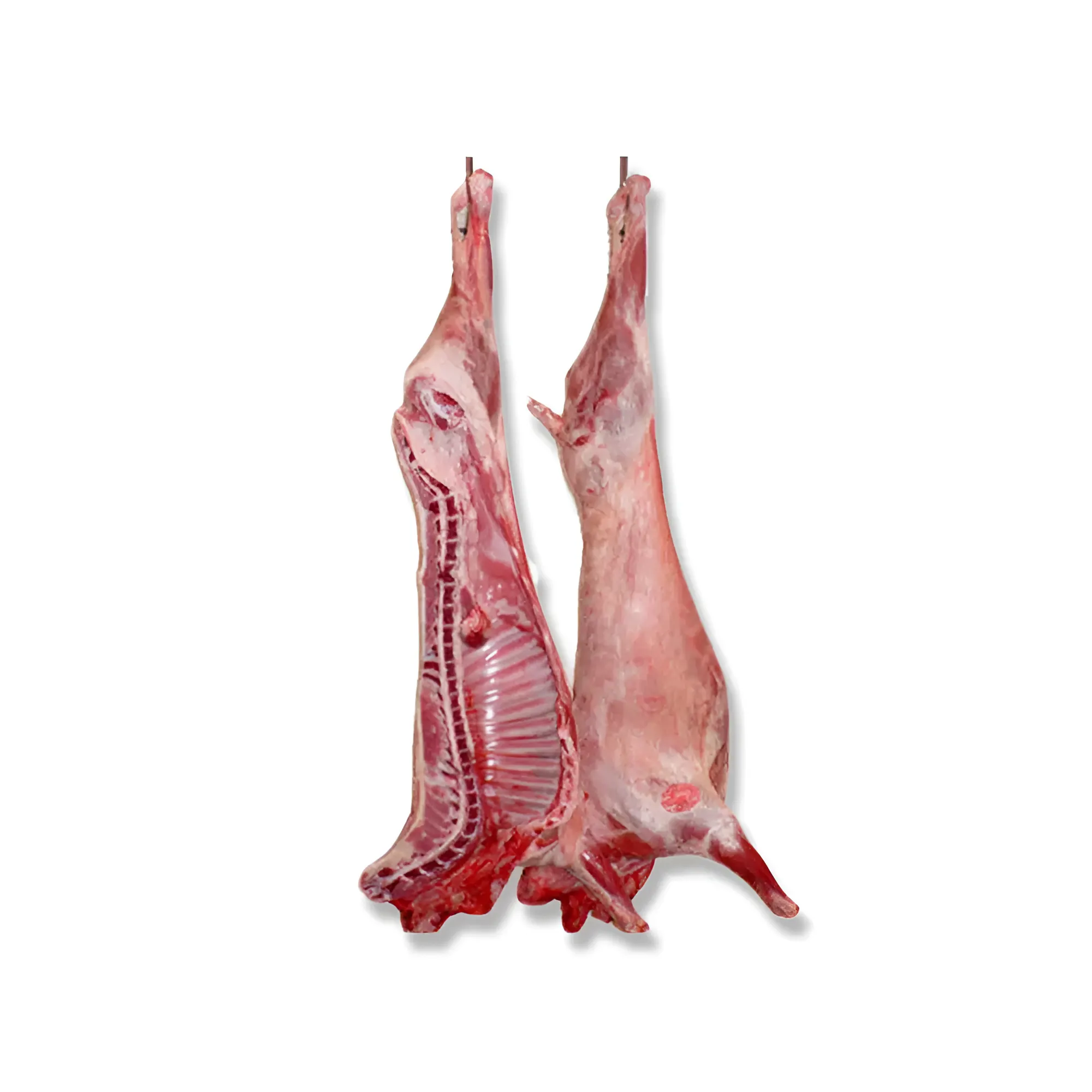Halal Whole Lamb Carcass