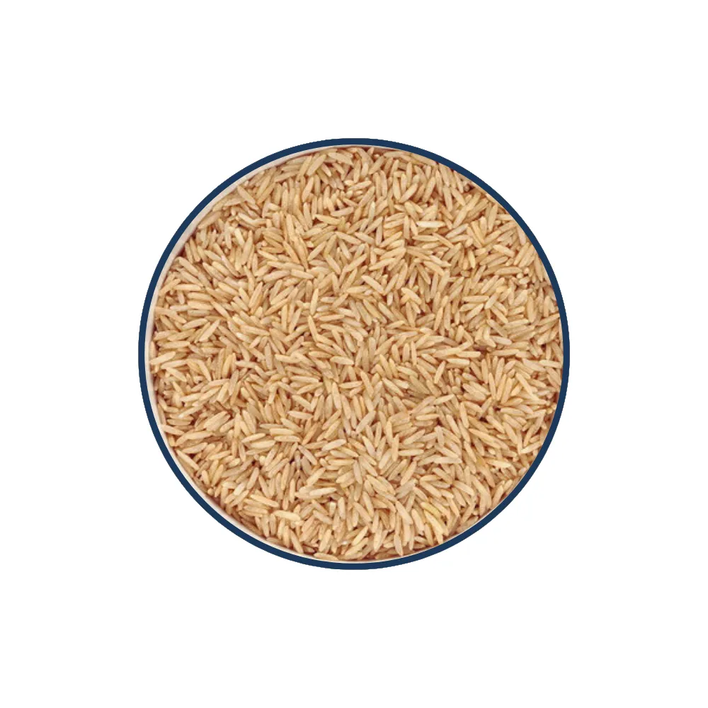Arroz Integral - Exportação Atacadista de Grão Integral Parcialmente Polido