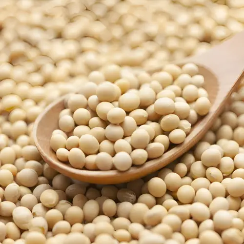 Product image of GMO Soybeans
