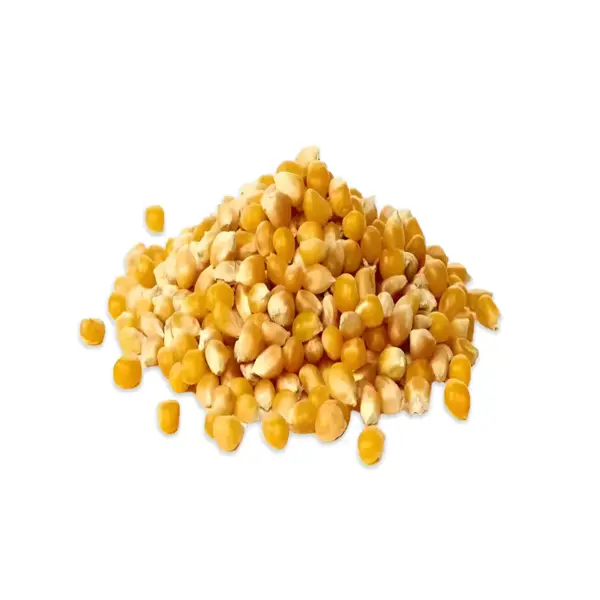 Product image of GMO Yellow Corn