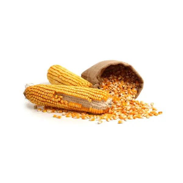 Product image of NON-GMO Yellow Animal Corn