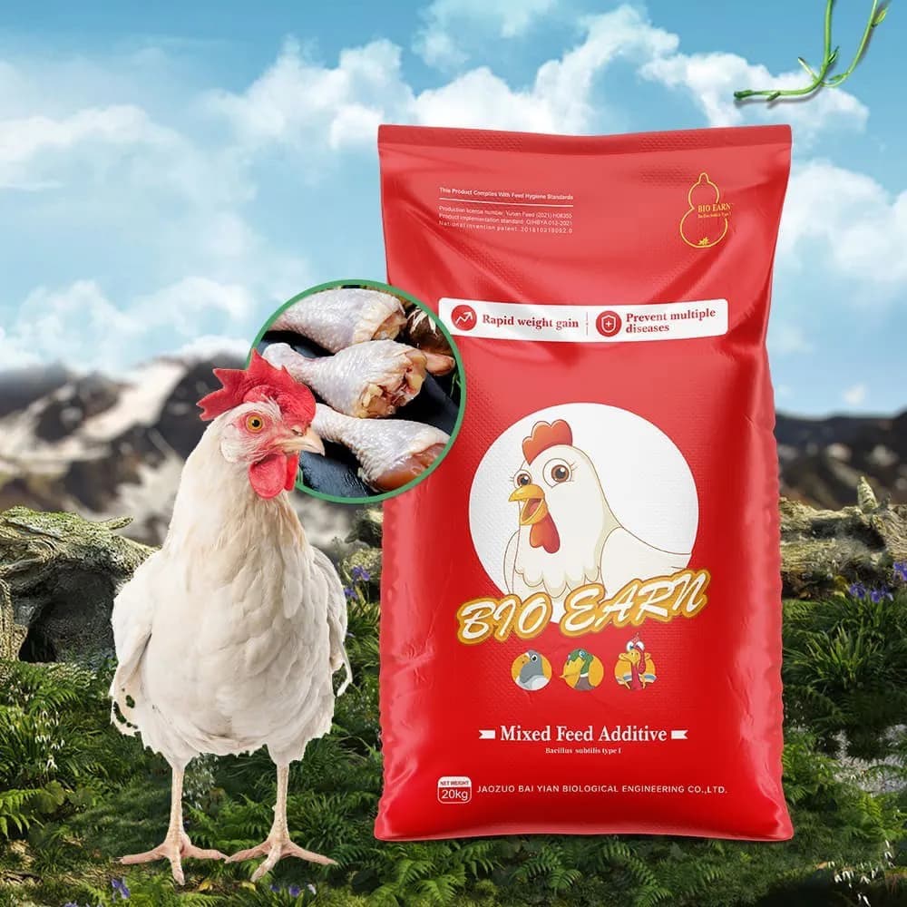Broiler Poultry Feed wholesale export - bulk high-performance pellet | France AJ Alimentaire And Food LTDA