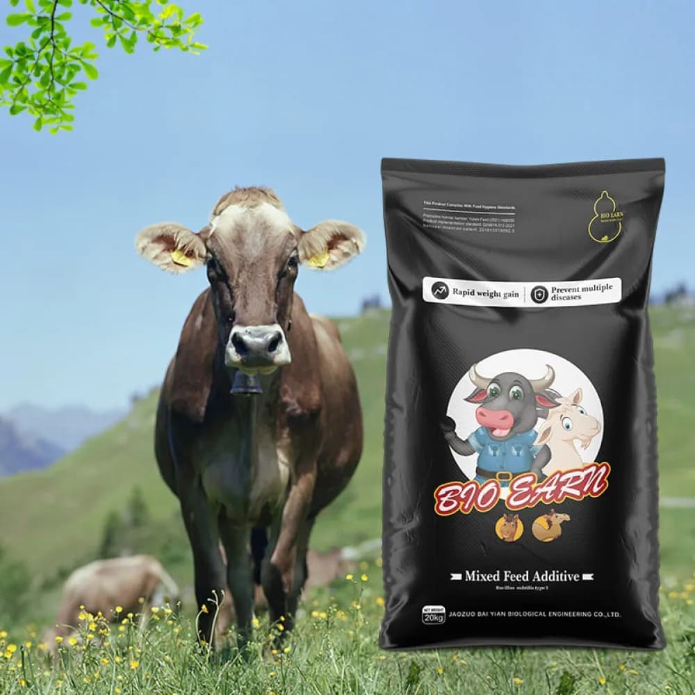 Commercial Ruminant Feed wholesale export - bulk cattle and sheep pellet | France AJ Alimentaire And Food LTDA