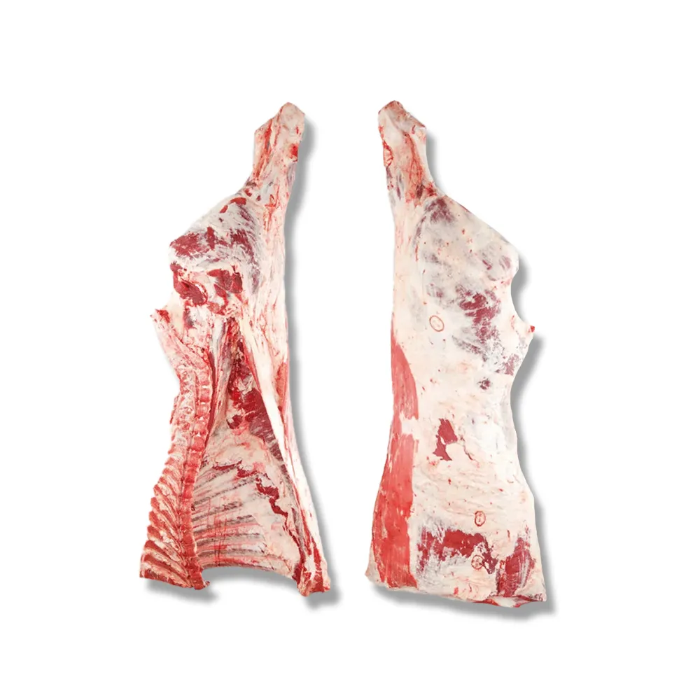 Halal Beef Hindquarter
