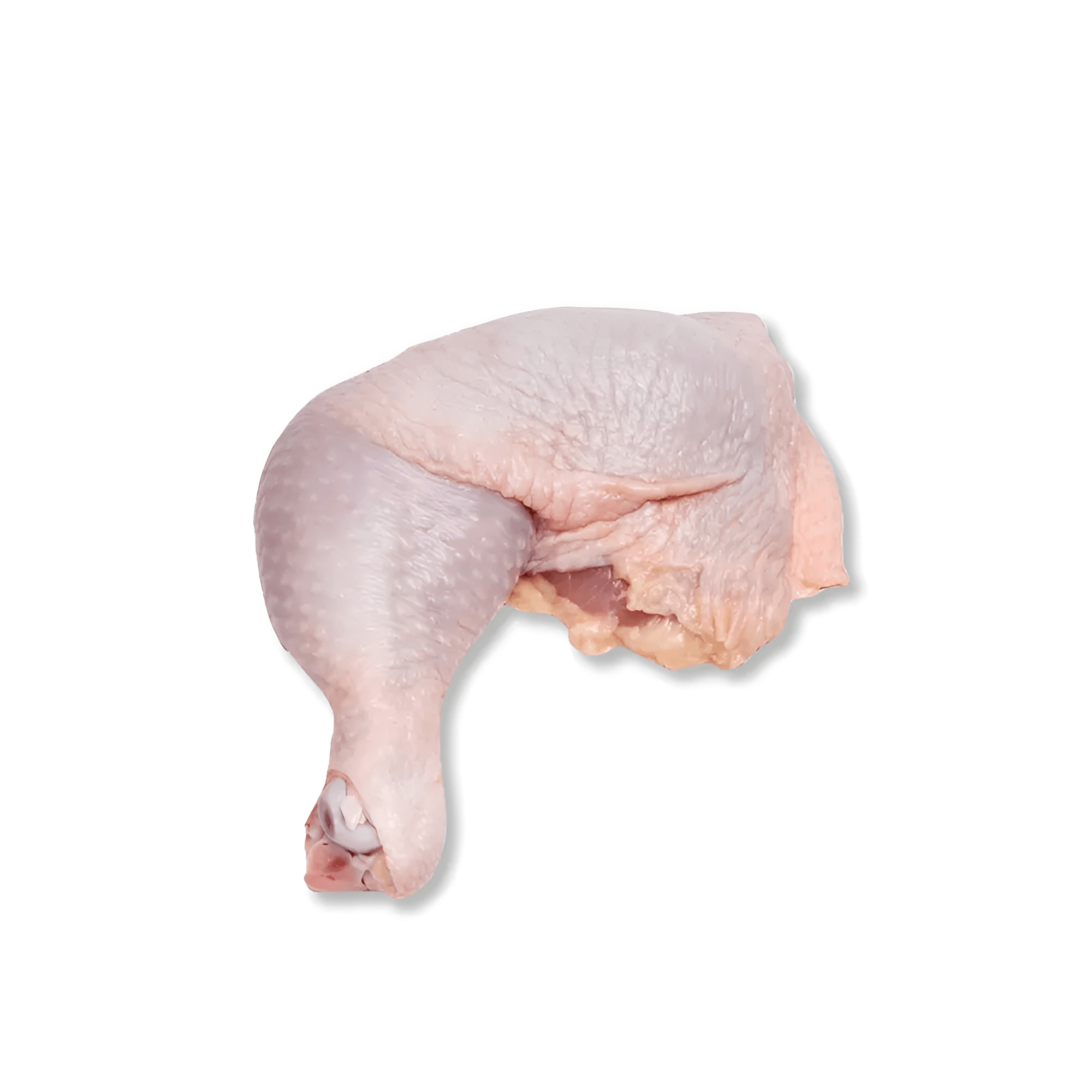 Halal Frozen Chicken Whole Leg (Bone-in, Skin-on) - Bulk Wholesale Export