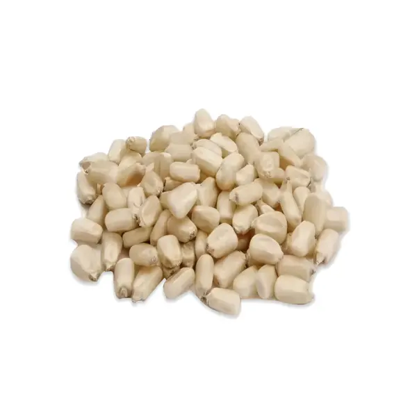 View details of Non-GMO White Corn Non-GMO White Corn supplier - bulk wholesale export bags | France AJ Alimentaire And Food LTDA