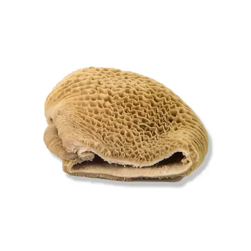 View details of Halal Beef Omasum Product image of Halal Beef Omasum