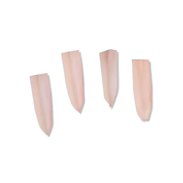 View details of Halal Chicken Breast Cartilage (Yagen) Product image of Halal Chicken Breast Cartilage (Yagen)