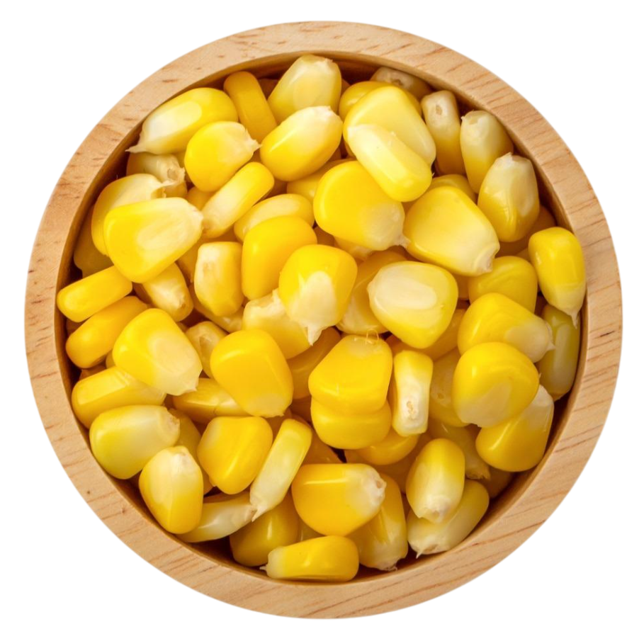 Category image for Corns