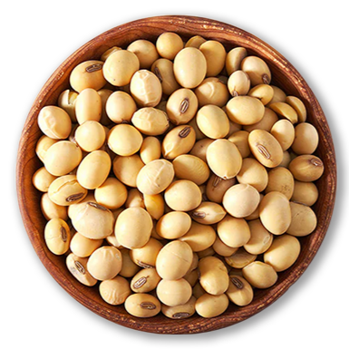 Category image for Soy Beans